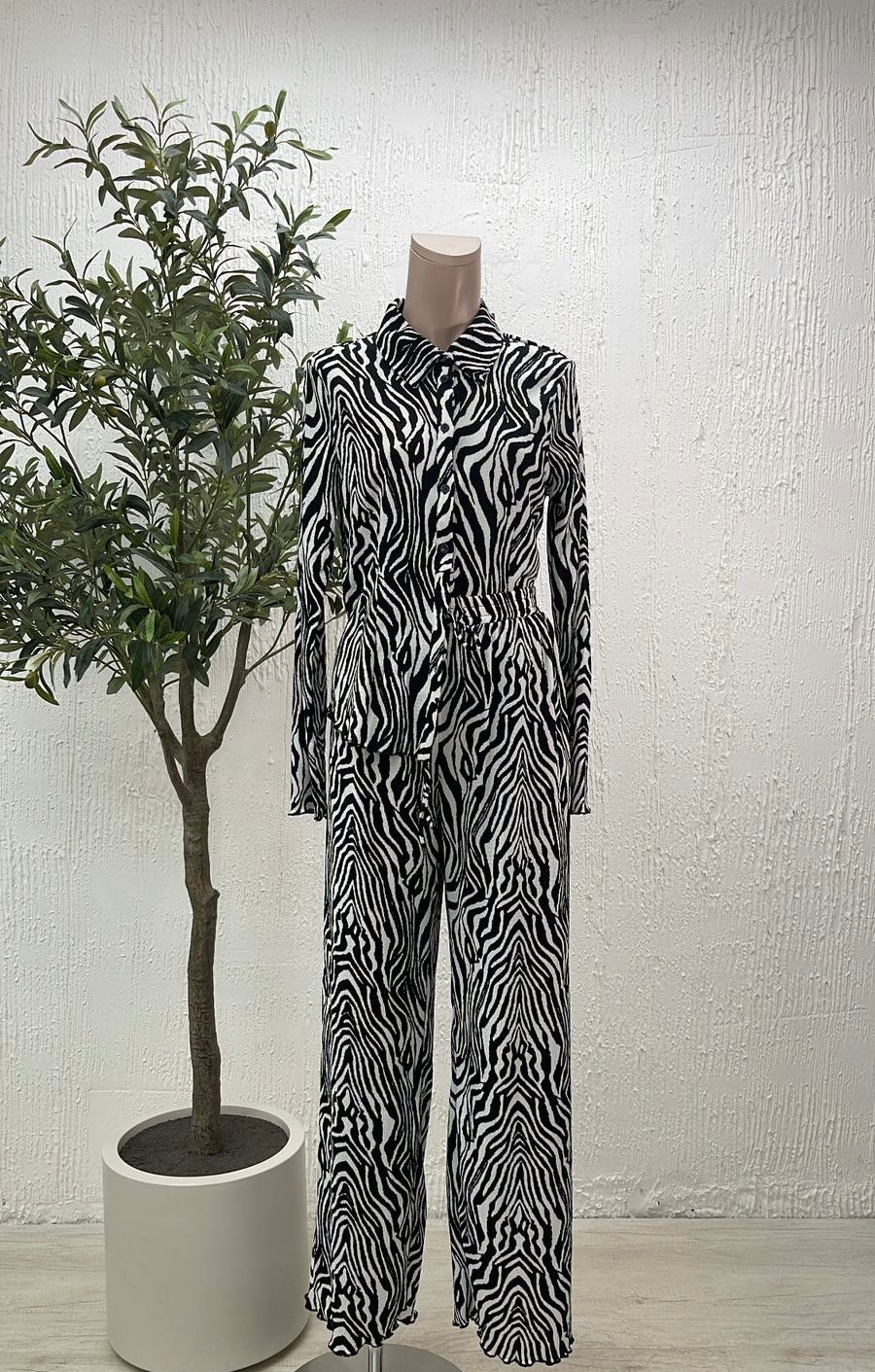 Set Zebra Pantalón